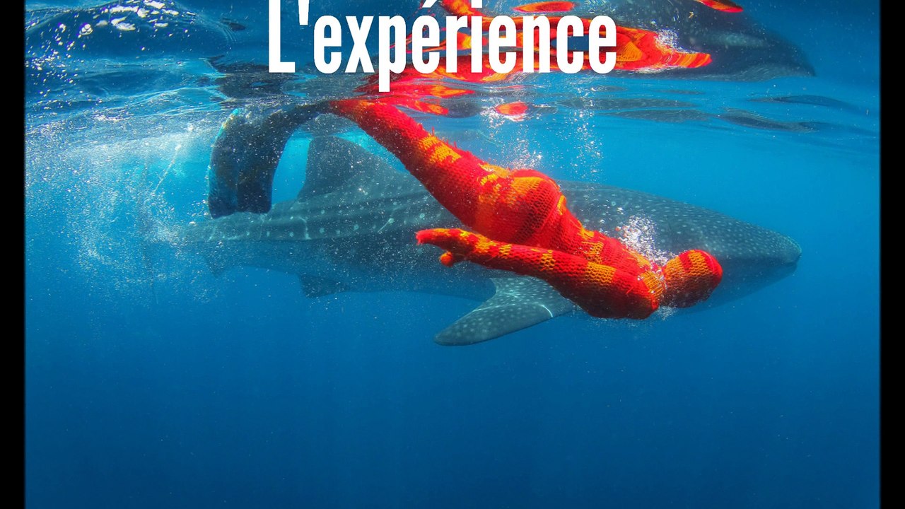 L'expérience