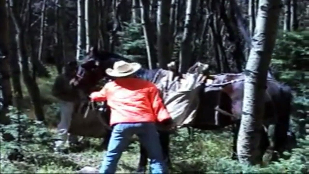 Kicked by a horse Compilation video Dailymotion