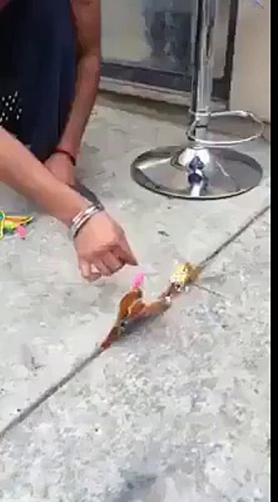 very funny punjabi must watch