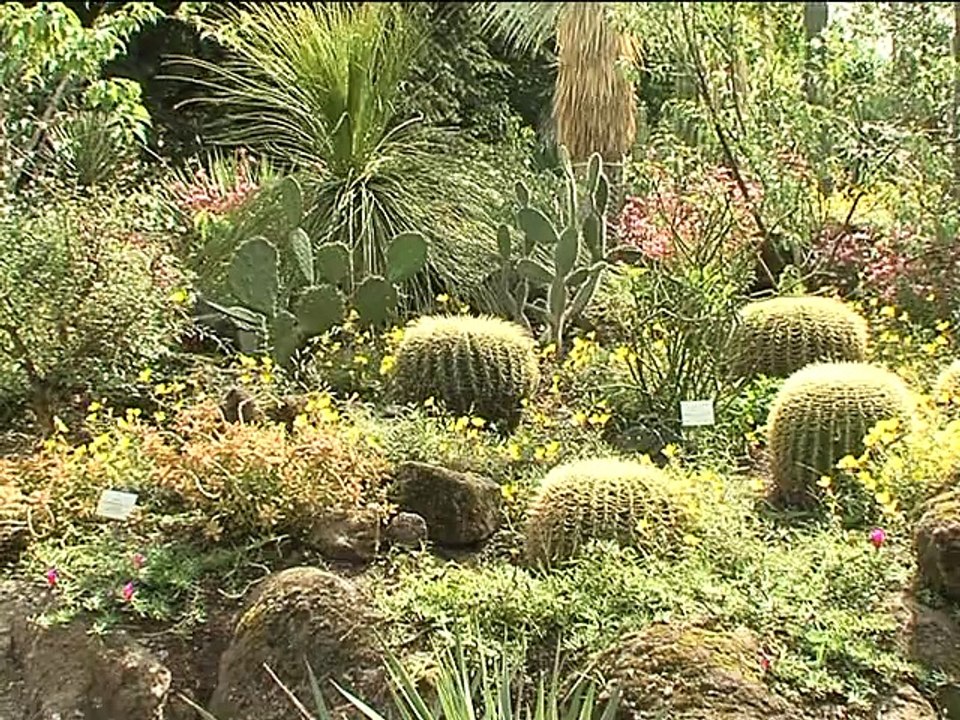 Frankfurt - Multifaceted metropolis - Frankfurt, Germany