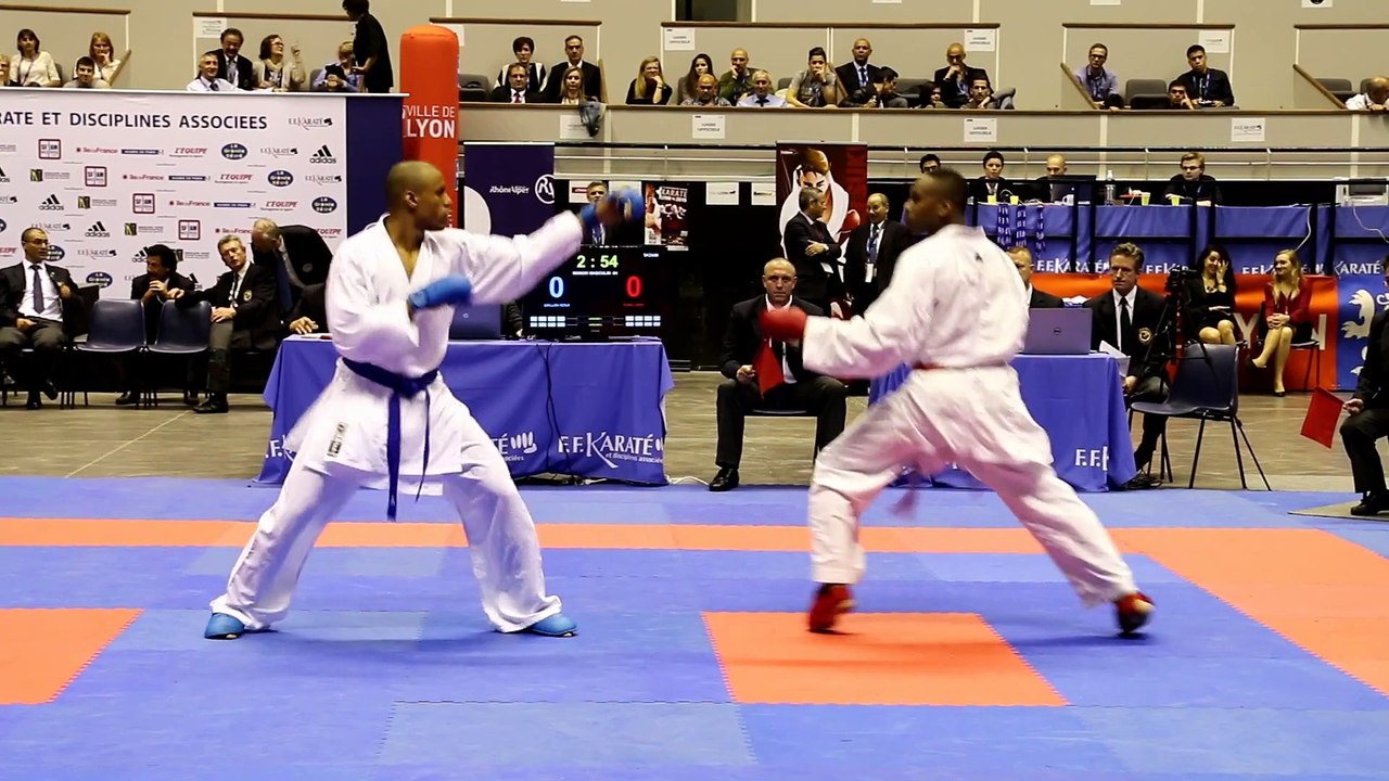 Finale -84kg : L.Dona / K.Grillon - Championnats de France Karaté 2015