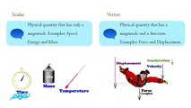 scalar and vector quantities - Physics -  الفيزياء لغات - للصف الأول الثانوي - موقع نفهم - موقع نفهم