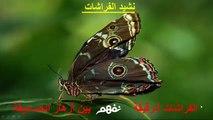 نشيد الفراشات - لغة عربية - للصف الثالث الإبتدائي - المهج الجديد 2015 - الترم الثاني - موقع نفهم