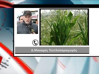 Ενίσχυση ΕΒΖ με 30 εκ ευρώ