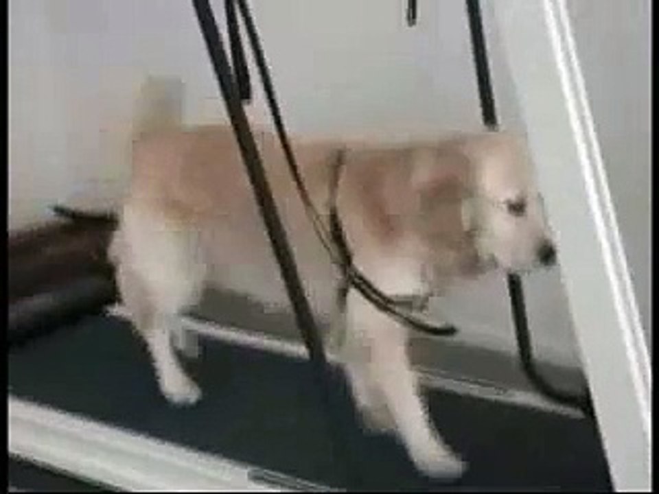 The Next Rocky?