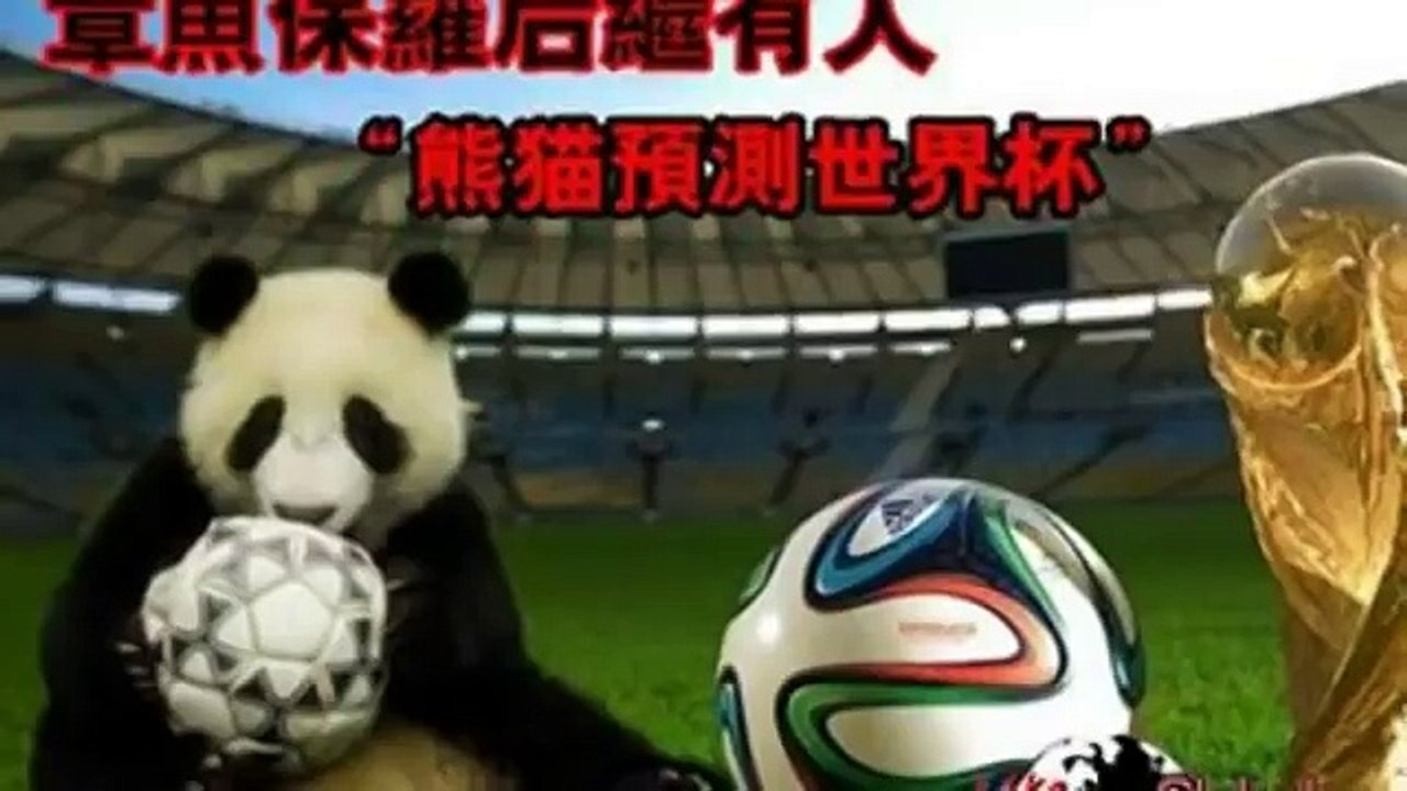 World Cup 2014: Baby pandas to predict game scores as China's answer to Paul the Octopus