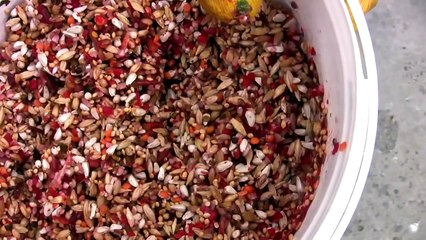 Kod Adı : Şampiyon - Posta Güvercinleri ve Yarışları - Bölüm 3/4