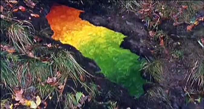 Andy Goldsworthy - Rivers and tide (2003) - début