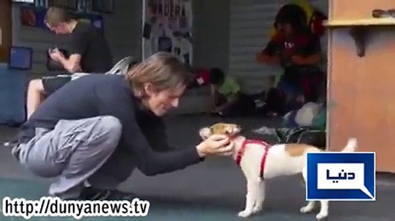 Man Jumps Out Of Plane With No Parachute.