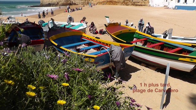 Aquarelles et croquis, carnet de voyage des plus belles criques d'Europe