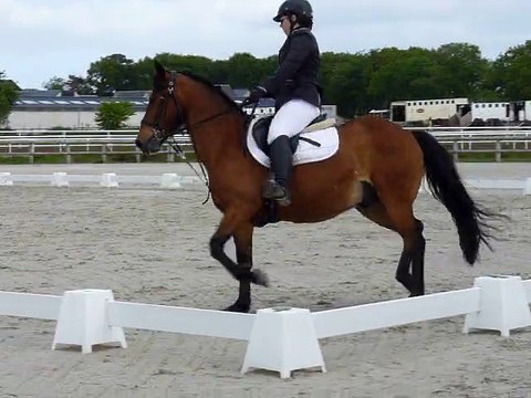 Sarah et Playboy - 14 mai 2015 club 3 dressage à l'Equipôle