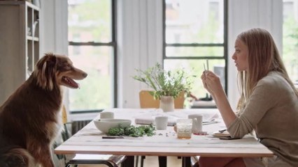 Vogue Original Shorts - Amanda Seyfried’s Dog Finn Is the Ultimate Best Friend