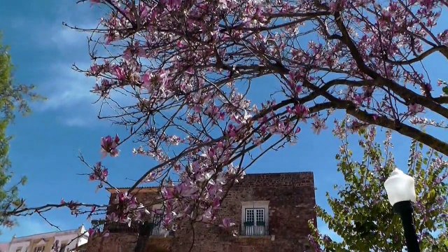 Aquarelles et croquis sur la route du bleu , en stage carnet de voyage au Portugal...