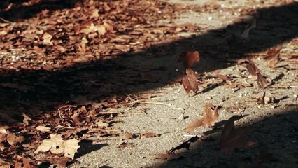 Gökhan Türkmen Çatı Katı (Official Video)