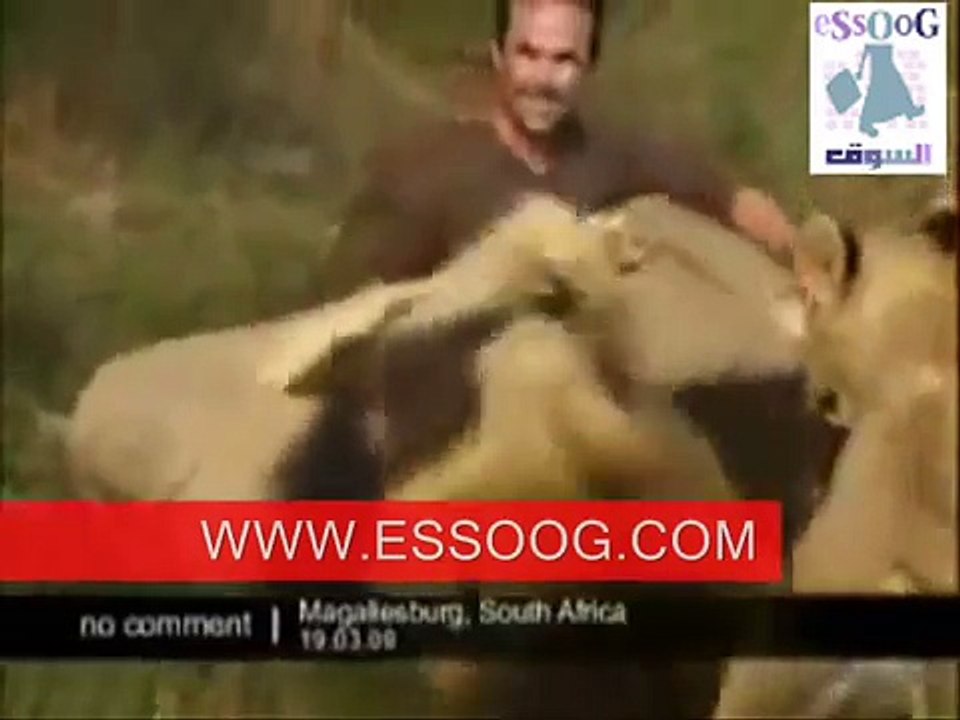 اغرب من الخيال