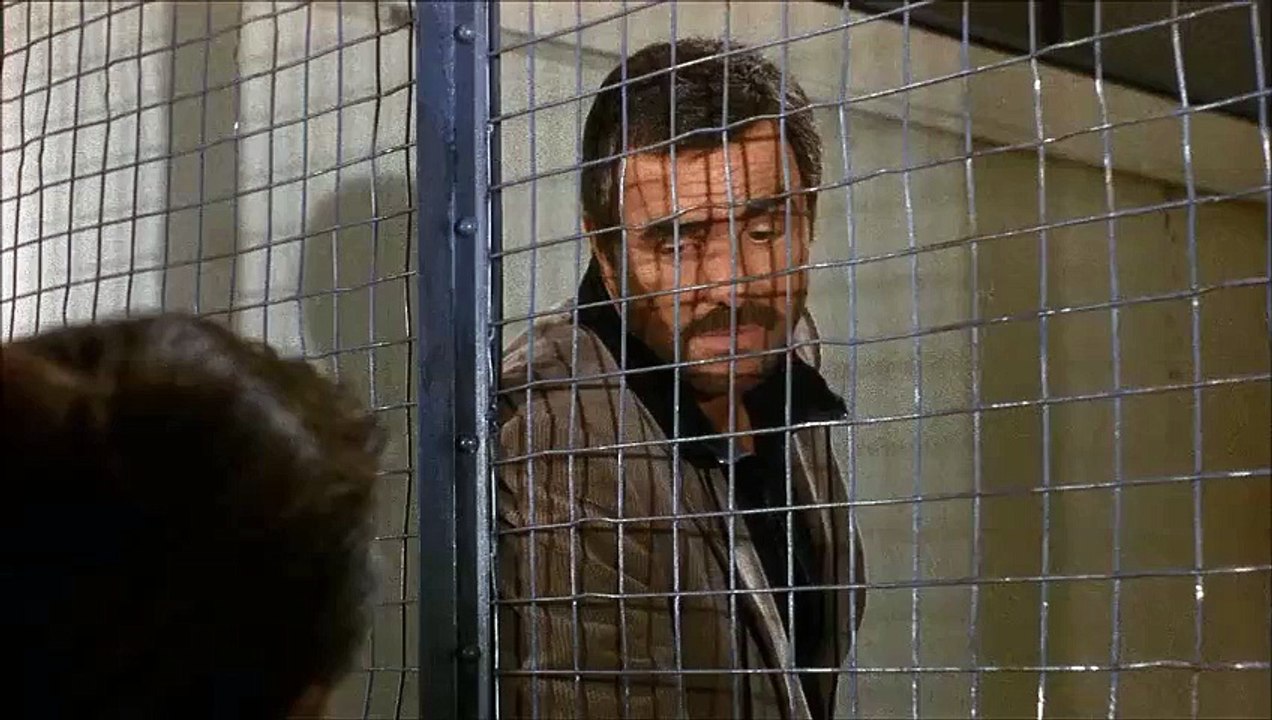 physical evidence clip