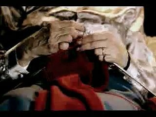 Cat Playing Football video