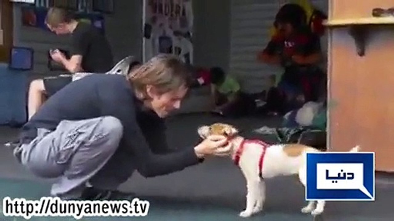 Man Jumps Out Of Plane With No Parachute