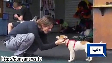 Man Jumps Out Of Plane With No Parachute
