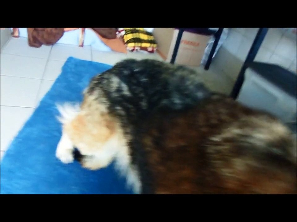 Belle commence à être joyeuse