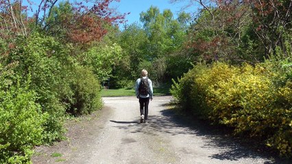 Den sidste plads - NAG, me/7 - Eksamensfilm