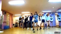 T-ara - Roly-Poly (dance practice) DVhd