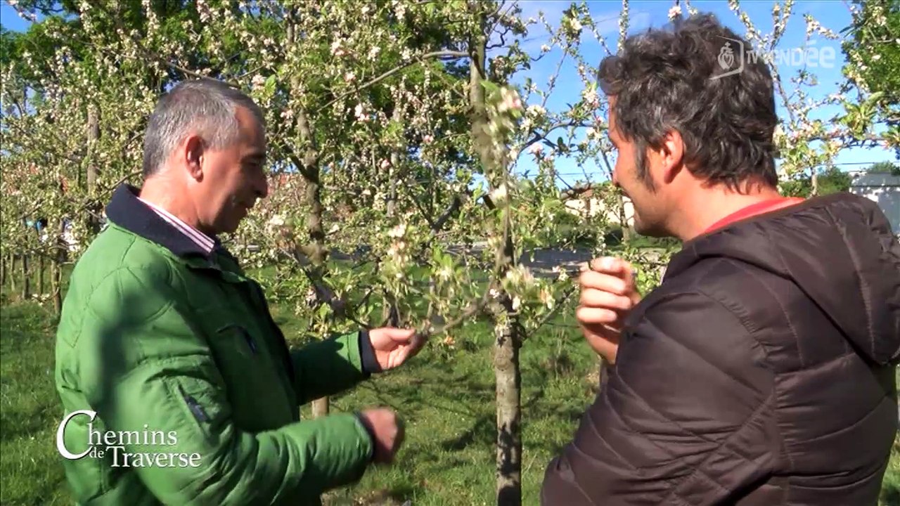 Chemins de traverse : La Bio dynamie / La spiruline