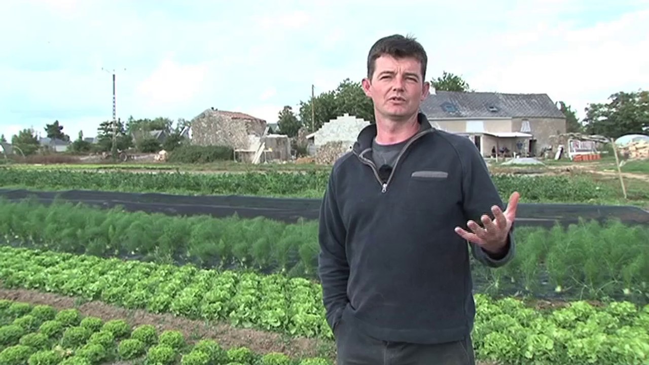 1 jour 1 action :  bio en circuit court c'est l'AMAP  !