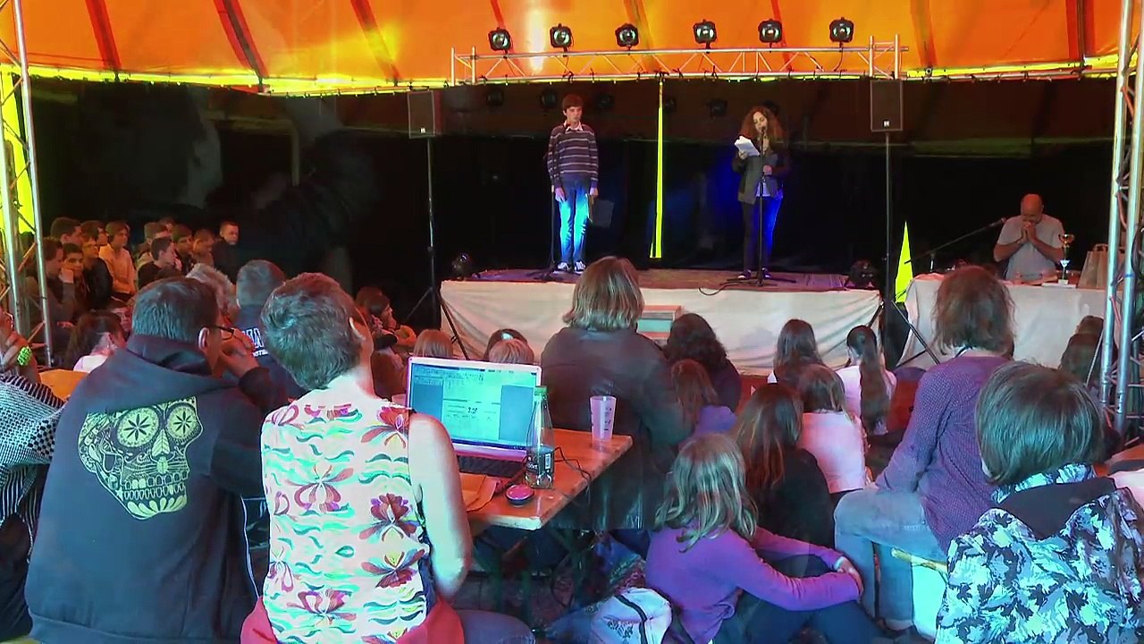 Les Herbes Folles, le festival 2015