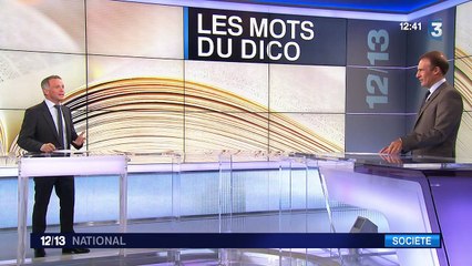 150 nouveaux mots et expressions dans les dictionnaires Larousse et Robert