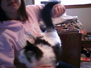 I Know How To Make A Kitty Purr