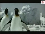 BEST MATES - Guinness Commercial 2006