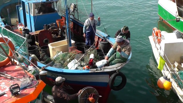 Une halte à Lagos avec le stage carnet de voyage aquarelle Alain MARC. sur la route du bleu.
