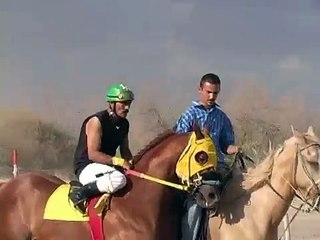 el señor de las canas vs la gaviota.mp4