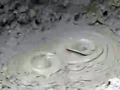 Hot Mud Pools at Tongariro National Park, Rotorua, New Zealand