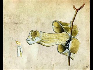 Kung Fu Panda (Oogway ascend Slow)