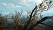 The Witcher 3 : Traque Sauvage (PS4) - Trailer de lancement