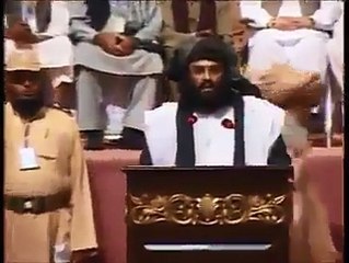 A brave Pukhtoon exposes the so-called Grand Jirga and its leaders.