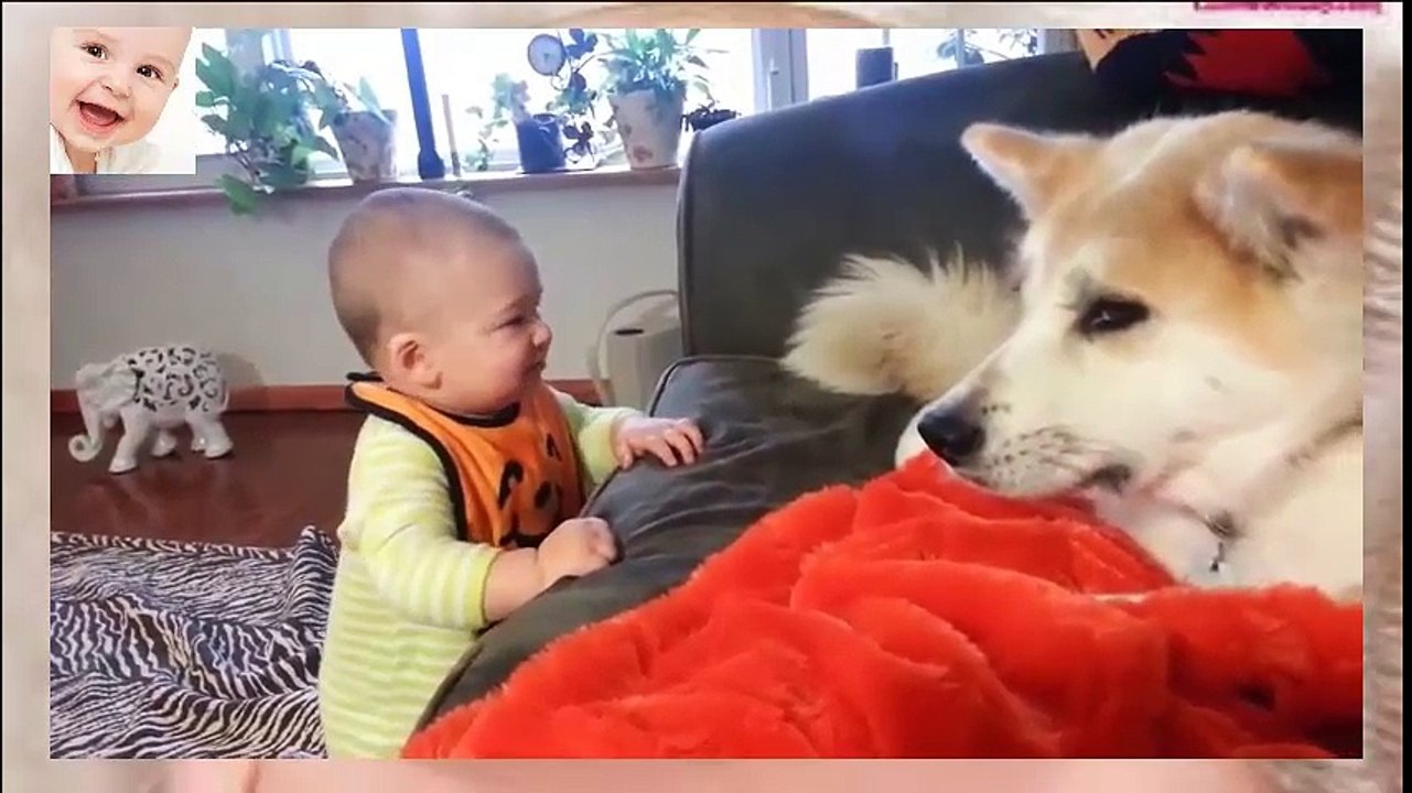 Funny Babies Talking to Dogs - So lovely