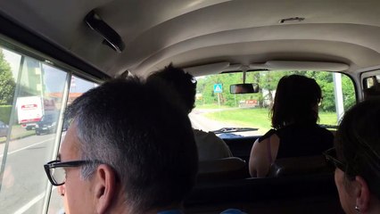 Fragolosa - Il Viaggio