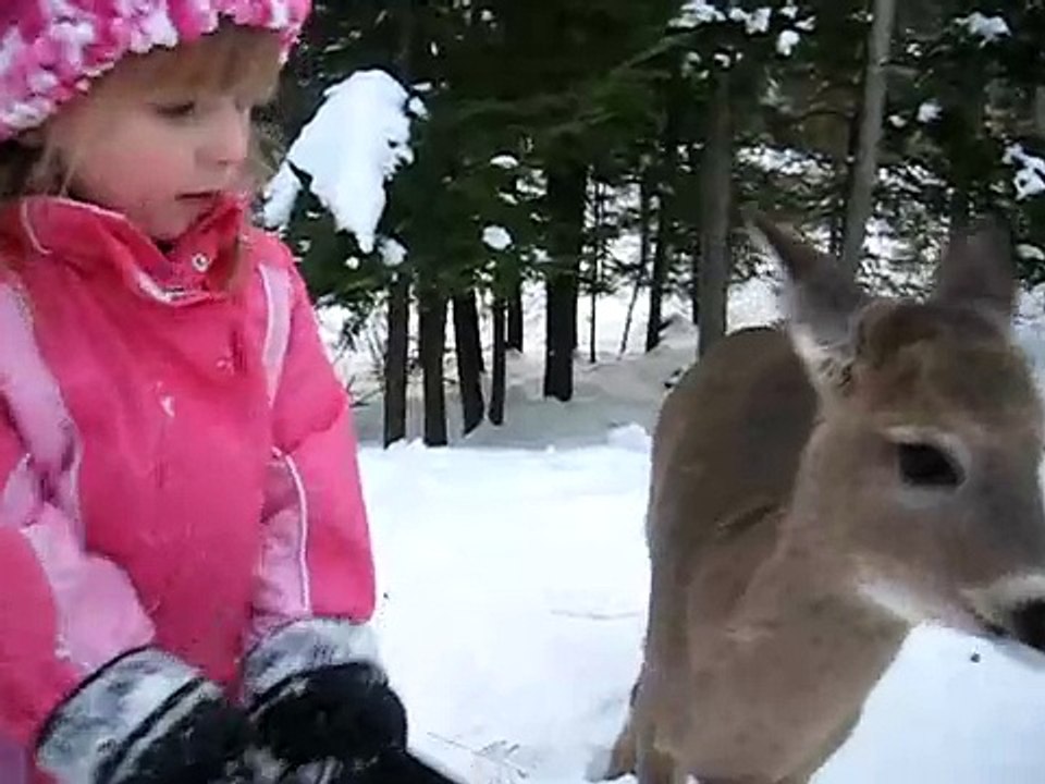 Sally the Deer