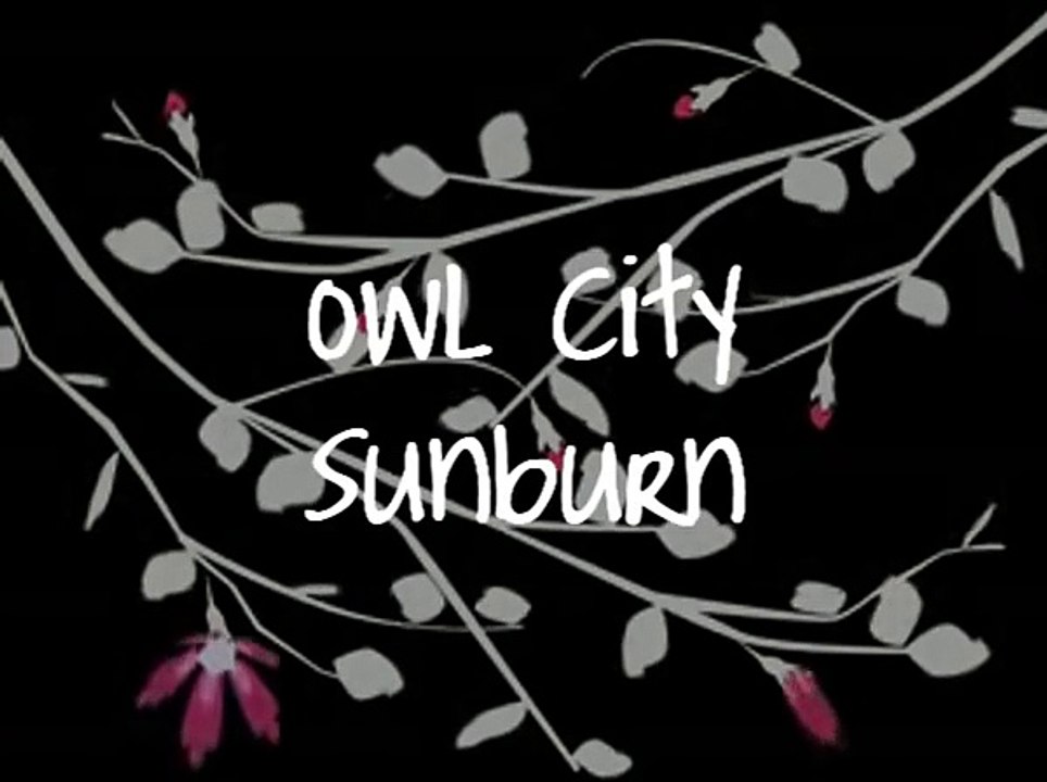 Owl City- Sunburn lyrics
