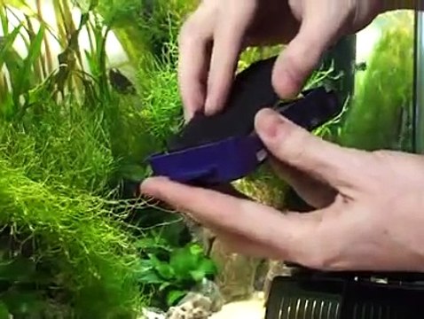 Fluval 'U' Series Internal Filters - PFK Magazine Guide