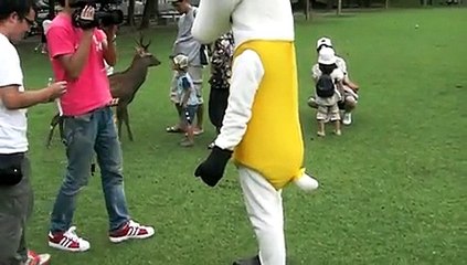 地デジカ、奈良のシカに嫌われる