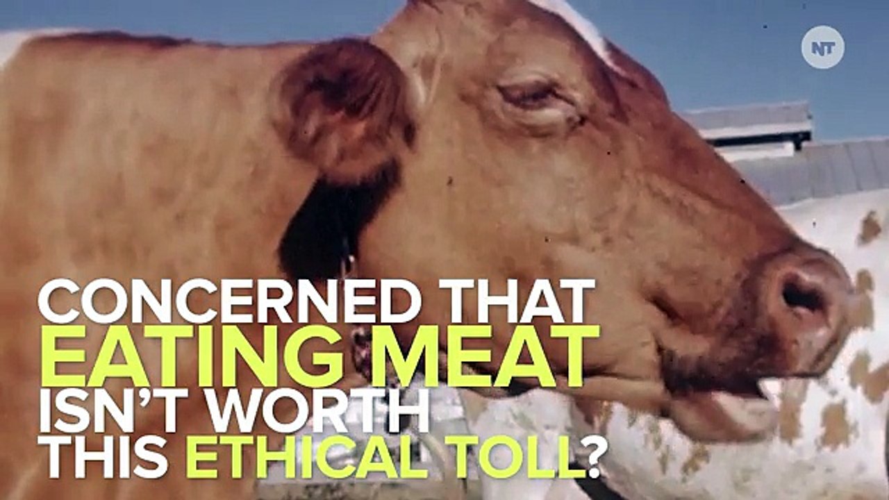 Lab Grown Burgers Are Here — And They're Almost Affordable