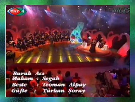 Nalân ALTINÖRS *BURUK ACI* (Gurbet İçimde Bir Ok)