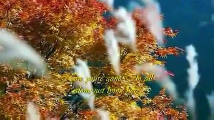 AIR SUPPLY - I'll Never Get Enough Of You (with lyrics)