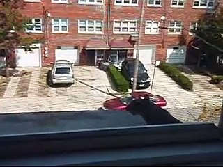 驚きの映像【りすのお引越し】【A wild squirrel moving out of my house】