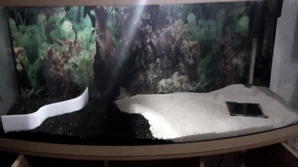 Einrichten eines Aquariums Aquascaping für Anfänger Teil 2 auf deutsch