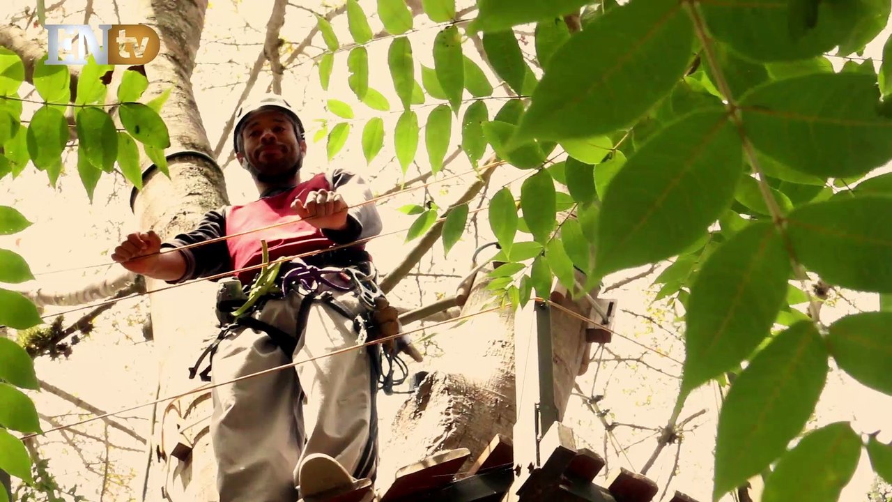 Adrenalina en las alturas